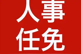 重要人事任免来了〔2024.04.15〕图片