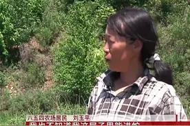 黑龙江女子跟蛇群“同居”15年，大蛇就有20多条，同睡一张床图片