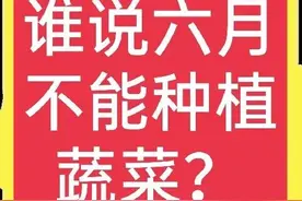 六月份天气太热，不能种植蔬菜吗？哪些蔬菜适合现在种植？图片