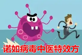 一个治诺如病毒的特效方 祛风散寒止痛，上治呕吐 中缓腹痛 下止泄泻图片