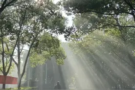 高中数学培优：马尔可夫链图片