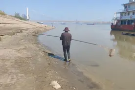 他们在长江边捞甲鱼：此前看到有人放生图片