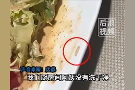 男子在22元沙拉中吃出白色活虫，在盘子边缘爬行，店家回应：这是菜虫已退款打折，总共390多收了他300块钱图片