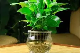 上班族健康小常识盘点图片
