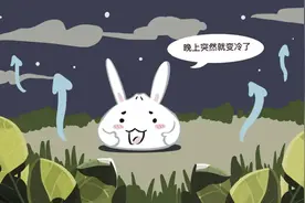白露中秋先后到，赏月“锦囊”已备好→图片