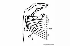 第二掌骨全息医学理论图片