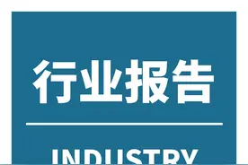 中国药品包装材料行业发展深度分析与投资趋势研究报告图片
