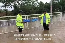 车牌损坏丢失怎么办？交警来支招！图片