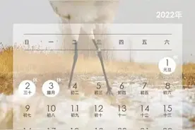 最新放假安排，3天图片