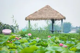 藏不住啦！天府农博园这个地方超出片图片