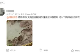 警惕！火锅店、超市惊现蓝环章鱼 研究人员回应：剧毒不可食用图片