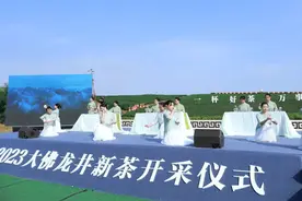 新昌好茶，如约而至丨2023新昌大佛龙井新茶开采！图片