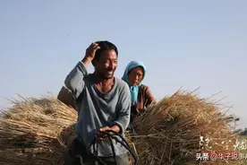 《隐入尘烟》：文艺片的另类破圈，里面的几个细节让人细思极恐图片