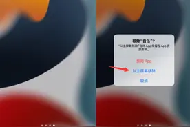 有趣！iOS 15.5 新BUG，音乐强制显示图片