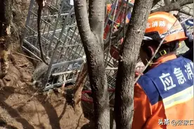 在现场｜张家口赤城：暴躁狗獾误入捕兽套 消防救援人员谨慎解救一只国家二级保护动物图片
