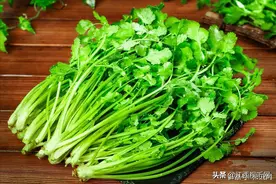 今天是世界讨厌香菜日：全球每100人，就有15个不喜欢香菜图片