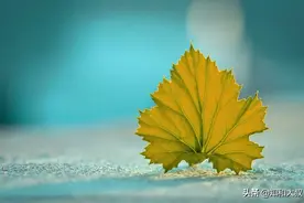 见过世面的人，大多身上有这样的表现图片