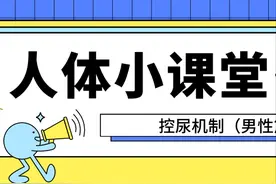 男性的控尿机制图片