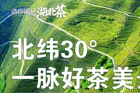 鄂渝湘北纬30°环线：一脉好茶美景，无限惬意风情图片