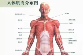 健身小知识--肌肉量过低的危害图片
