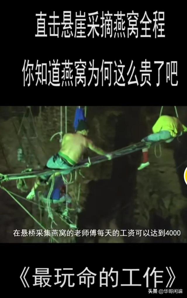 女人吃燕窝有什么好处和坏处 2026年女人吃燕窝10大好处