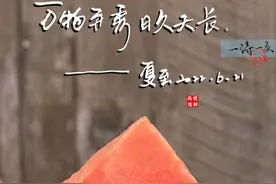 盛夏已至，愿夏天所有惊喜 都漫长且欢愉图片