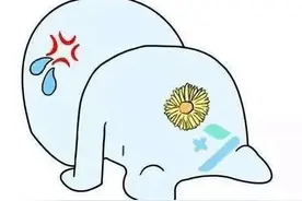 痔疮手术纪实（三）上图片