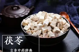 茯苓（利水消肿药）图片