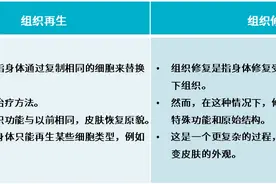 关于伤口的湿性愈合，这些还不知道就晚了图片