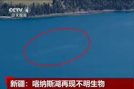 新疆喀纳斯湖再现不明生物！在水面翻出大片波浪，有可能是什么？图片