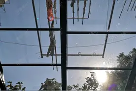 阳光房怎么做能在夏天不热？学会这四种方式，就能告别“汗蒸房”图片