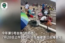 台风送来生蚝滩，为什么不能吃，存在那些安全问题？图片