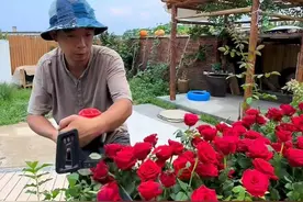 辽宁1对夫妻改造1套带山的农家小院，废弃轮胎“变废为宝”，惬意图片