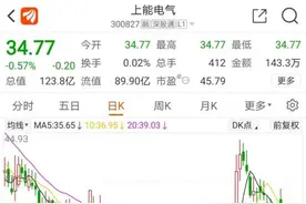 “13连阴”！上能电气营收、净利暴涨，股价却“跌跌不休”图片