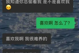 爆笑段子神回复（215）:你喜欢我吗？我很难养的图片
