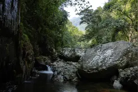 深入大明山，农夫山泉第12个水源地落地广西图片