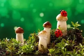 天气预报：惊蛰即将来临，如果在惊蛰前打雷？有啥预兆？农谚咋说图片
