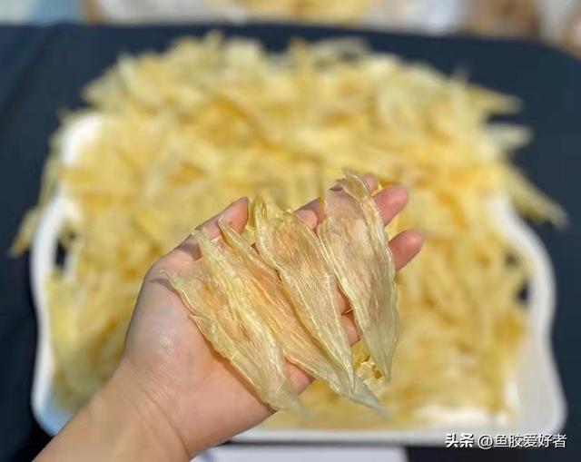 黄花筒和北海胶哪个好 2026年北海胶和黄花胶哪个功效好