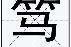 上面一个“竹字头”下面一个“马”是什么字?想不到就来看答案！图片