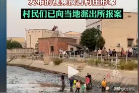 开眼了！网红两万承包鱼塘，遭村民哄抢鱼，网友：不要考验人性图片