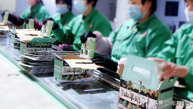 花胶炖羊奶 2026年花胶炖羊奶功效与作用及食用方法