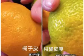 陈皮？橘子皮？还是做旧陈皮？图片