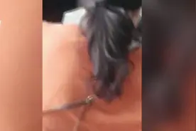 女警飞扑抓捕涉毒嫌疑人 上演现实版警察缉毒大片图片