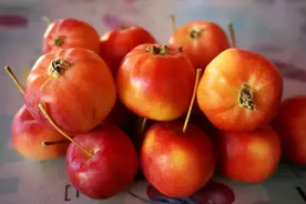 秋天吃的酸甜“小苹果”到底叫啥？图片