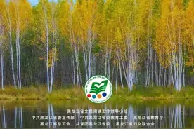 【一起读书吧】名篇里的黑龙江——迟子建《额尔古纳河右岸》图片