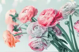 订婚刚三天，女方的一个要求让他果断清账、退婚：太贪心！娶不起图片