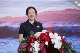 孟晚舟戴梵克雅宝蝴蝶胸针亮相，为什么女精英都爱戴胸针？图片