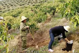 村里又在搞集体化，一起上下工，统一劳动，每天挣40元村民很开心图片