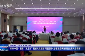 【康养胜地 人文兴义】2023中国·望谟“三月三”民族文化旅游节暨望谟八步紫茶品牌高质量发展大会召开图片