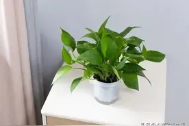 俗语“床头莫放三物，床尾莫对三处”分别指的是什么？图片
